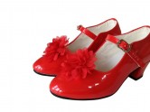 Shoe Clip with red flower
