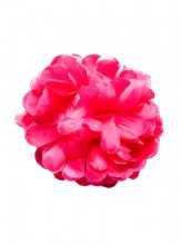 Flamenco Hair Flower pink