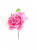 Spaanse flamenco roos, roze
