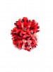 Haar bloem rood met zwarte stippen