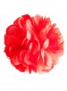 Spaanse haar bloem rood, extra groot