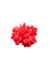 Haarbloemen rood of roze, klein model 2