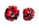 Spaanse haarbloem zwart/rood 2