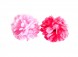 Spaanse haarbloem roze, lichter roze 2